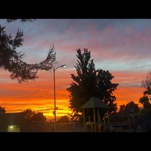 Meet your Posher, Rita